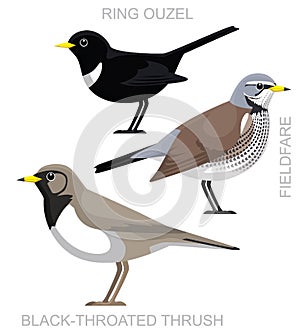 Cute Bird Ring Ouzel Fieldfare Thrush Set Cartoon Vector