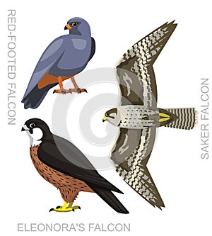 Cute Bird Saker Falcon Set Cartoon Vector
