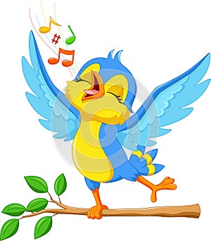 Cute bird singing