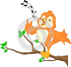 Cute bird singing