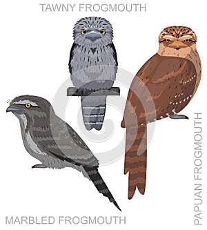 Cute Bird Tawny Frogmouth Set Cartoon Vector