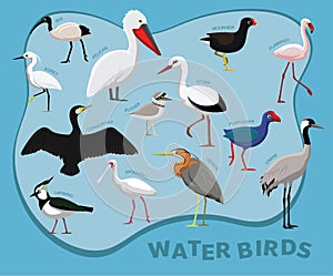 Cute Bird Water Set Cartoon Vector