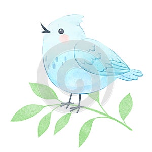 Cute bird watercolor illustration, children character design.