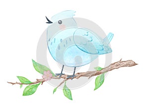 Cute bird watercolor illustration, children character design.
