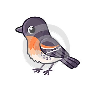 Cute bird yurok in cartoon style. Vector illustration with a beautiful little brambling bird