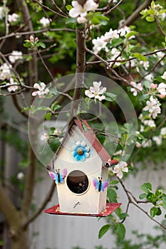 Cute birdhouse hanging on a branch of a blossoming fruit tree.