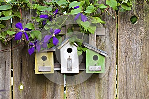 Cute birdhouses on wooden fence