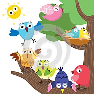 Cute Birds Family