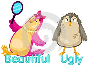 Cute birds with opposite words