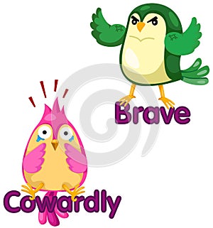 Cute birds with opposite words