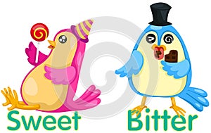 Cute birds with opposite words
