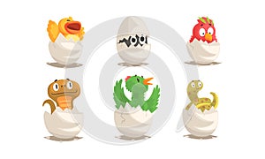 Cute Birds and Reptiles Hatching Vector Set. Cartoon New Born Creatures Collection