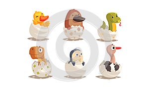 Cute Birds and Reptiles Hatching Vector Set. Cartoon New Born Creatures Collection