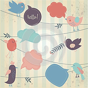 Cute birds tweeting