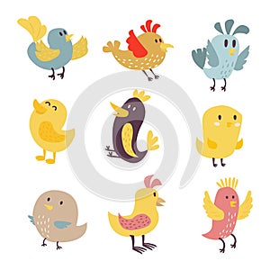 Cute birds vector set illustration cartoon colorful