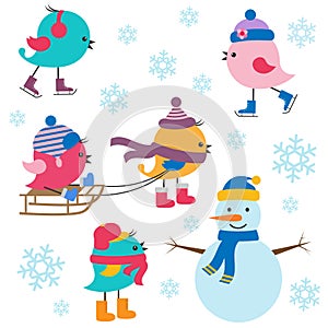 Cute birds winter