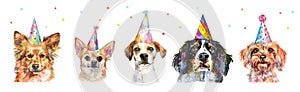 Cute birthday dogs in festive cones. Watercolor dog portraits. Isolated different breeds, party puppy. Funny pets