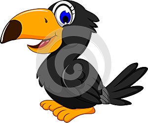 Cute black bird cartoon