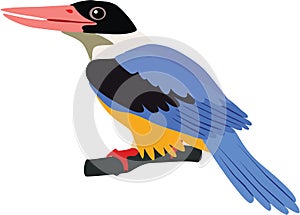 Cute Black-capped kingfisher vector