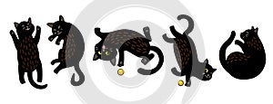Cute black cat in different poses, vector illustration