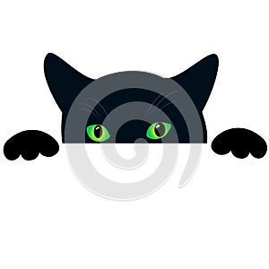 Cute black cat face with green eyes peekings. Isolated white background. Curious funny cat hides and peeps, creative design