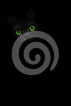 Cute black cat with green eyes is looking out of the shadow on background. Cat pussycat. Green eyes cat. Art shadow kitty. Cat in