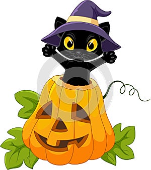 Cute black cat with Halloween pumpkin