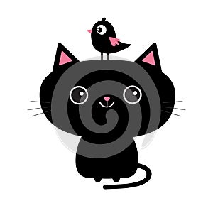 Cute black cat icon. Bird sitting on head face. Funny cartoon character. Kawaii animal. Tail, whisker, big eyes. Kitty kitten. Bab photo