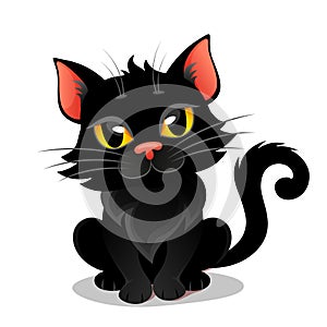 Cute black cat. Kitten