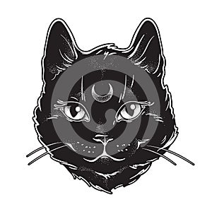 Cute black cat with moon on his forehead line art and dot work. Wiccan familiar spirit, halloween or pagan witchcraft theme tapest