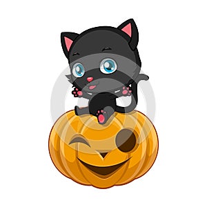 Cute black cat sitting on a Halloween pumpkin