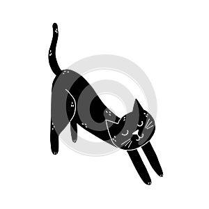 Cute black cat stretching isolated element. Feline character