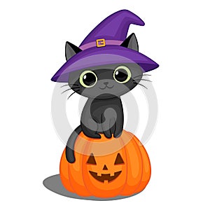 Black cat in a witch hat on a Halloween pumpkin