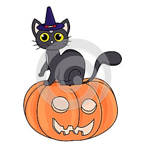 Cute black cat in a witch hat sitting on a Halloween pumpkin on white background
