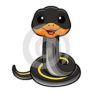 Cute black copper rat snake cartoon