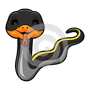 Cute black copper rat snake cartoon