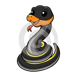 Cute black copper rat snake cartoon