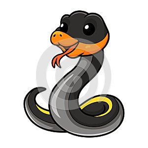 Cute black copper rat snake cartoon