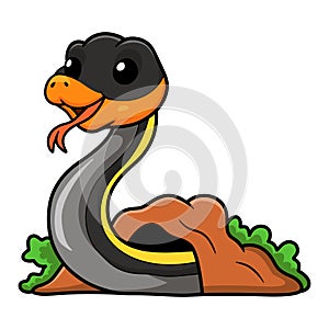 Cute black copper rat snake cartoon out from hole