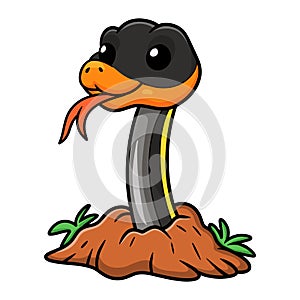 Cute black copper rat snake cartoon out from hole