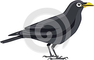 Cute black crow vector