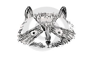 Cute black hand drawn sketch raccoon face