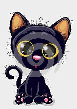 Cute Black kitten