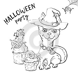 Cute black kitten and dog wearing funny and fancy Halloween hats laying with an illuminated jack-o-lantern pumpkin