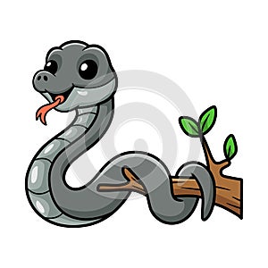 Cute black mamba snake cartoon on tree branch