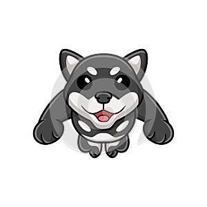 Cute black shiba inu dog cartoon jumping