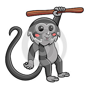 Cute black spider monkey cartoon hanging on tree