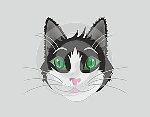 Cute black and white cartoon cat, Vector illustration.
