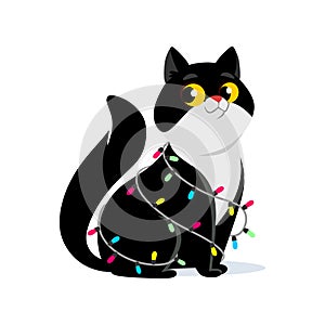 Cute black and white cat in Christmas lights isolated on white background