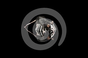 Cute black and white mouse on a black background with reflection